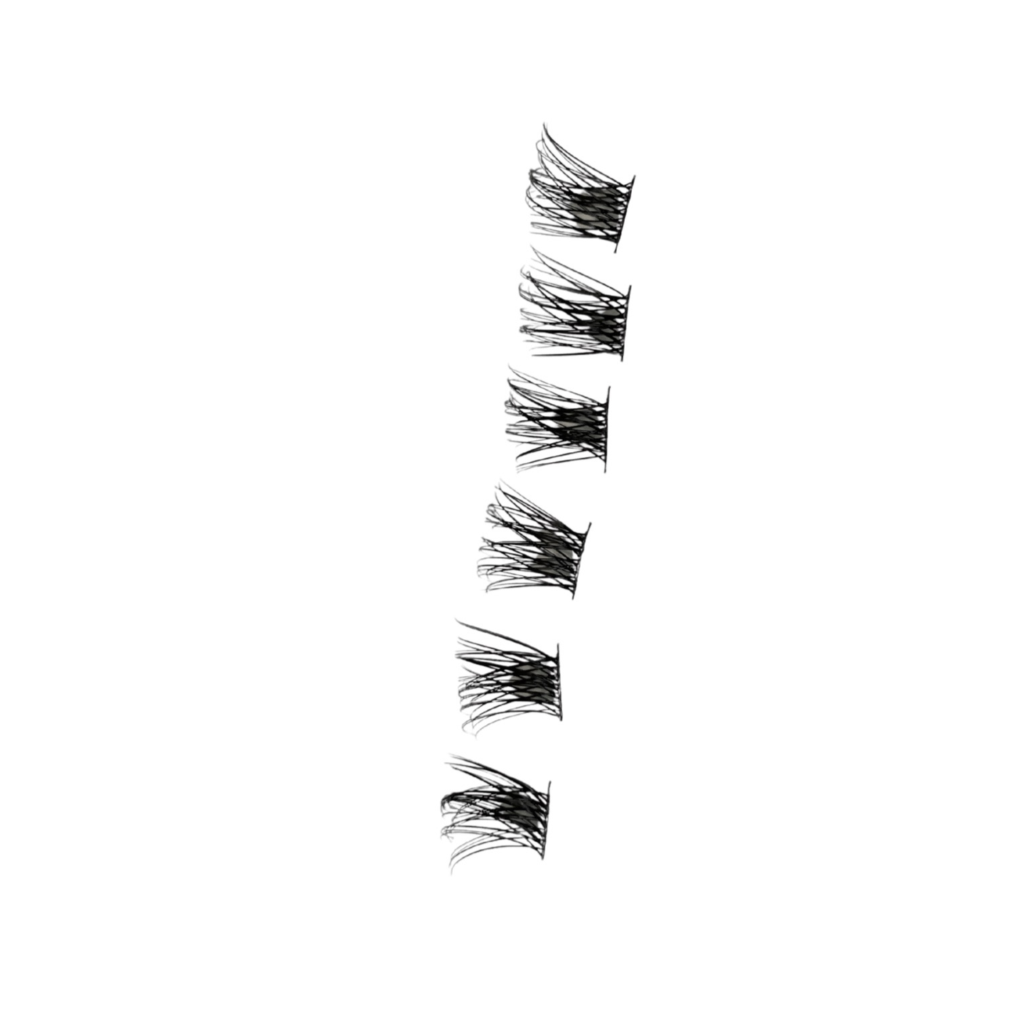 The Gigi Lash